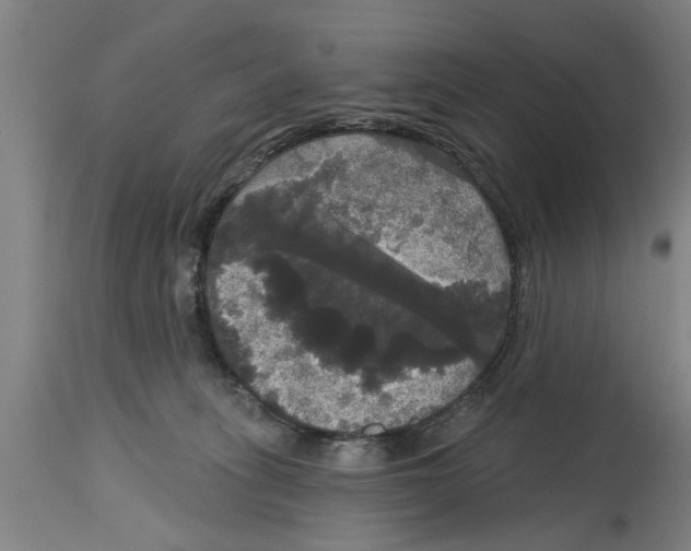 X0000114720275200911181411