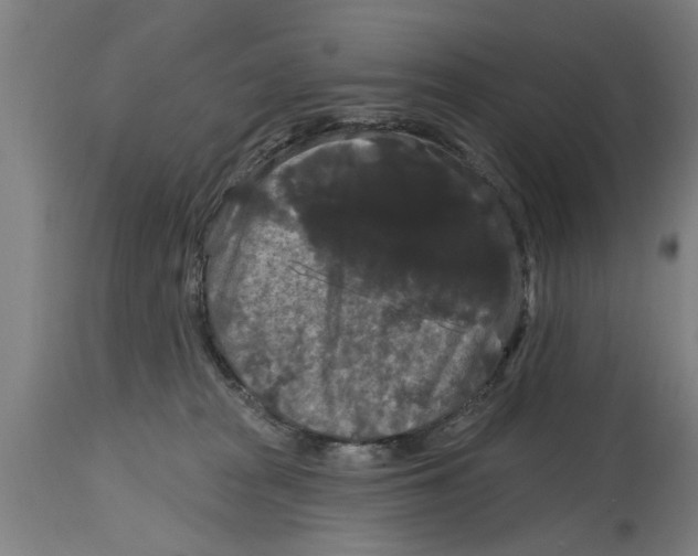 X0000114720277200911181411