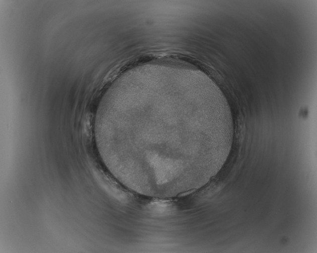 X0000114720280200911181411