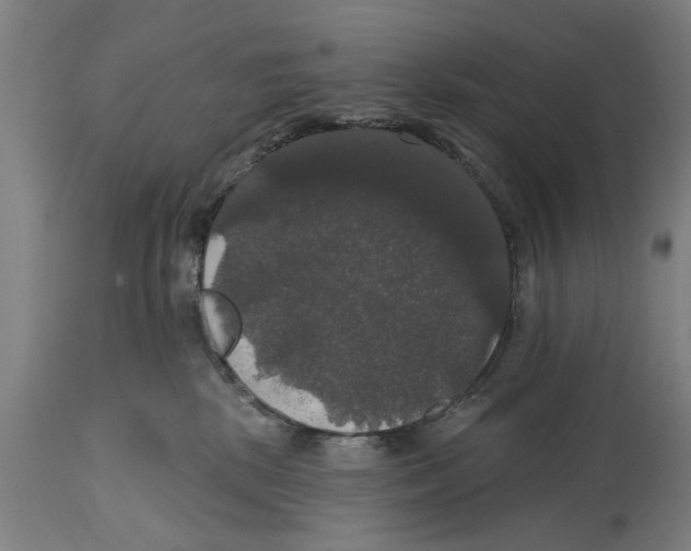 X0000114720281200911181411