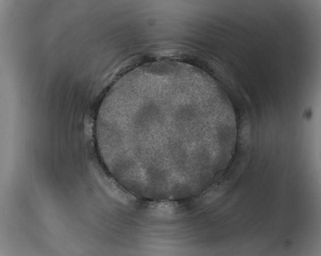 X0000114720282200911181412