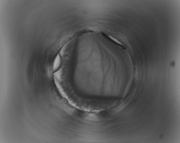 X0000114720285200911181412