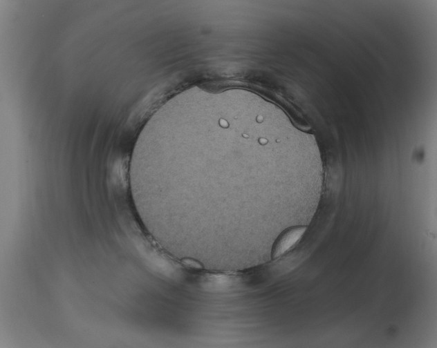 X0000114720286200911181412