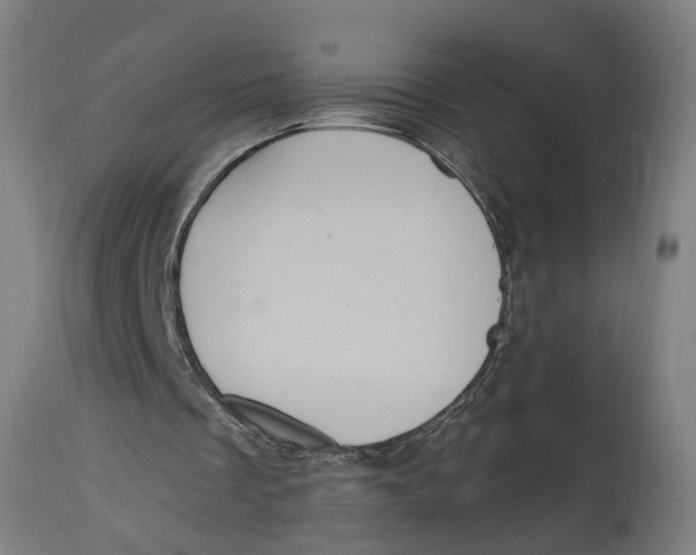 X0000114720289200911181411