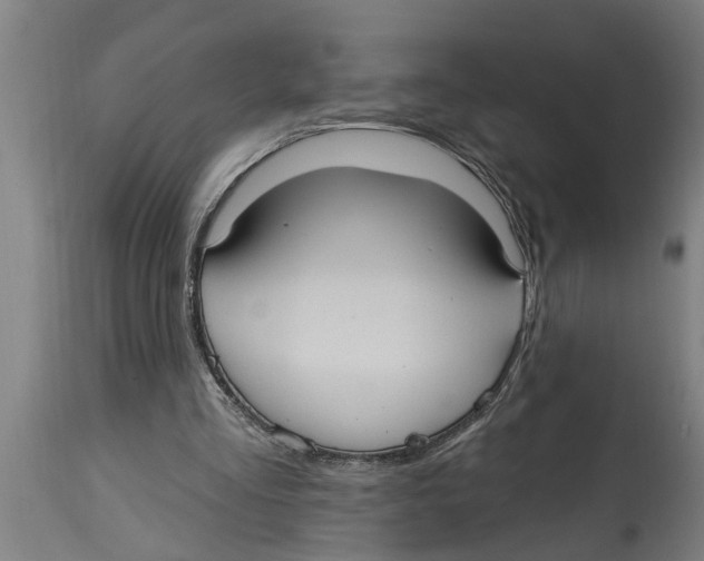 X0000114720293200911181411