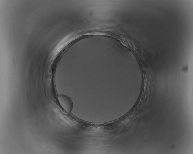 X0000114720295200911181411