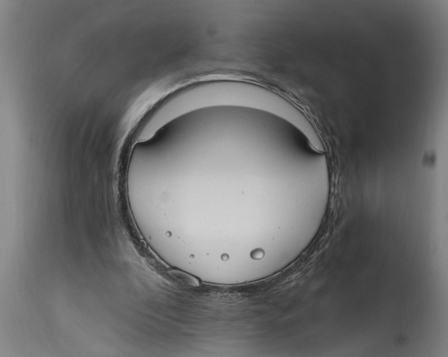 X0000114720296200911181411