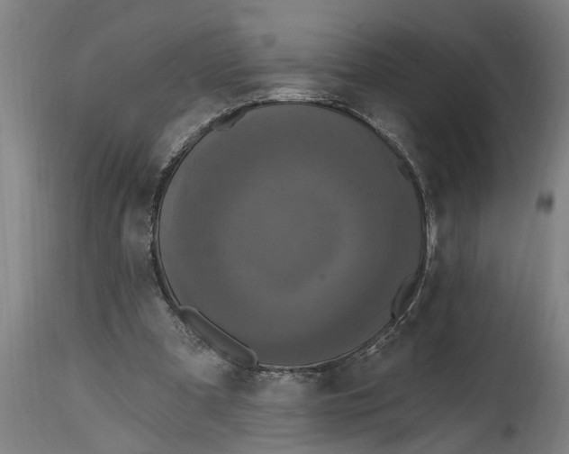 X0000114720297200911181411