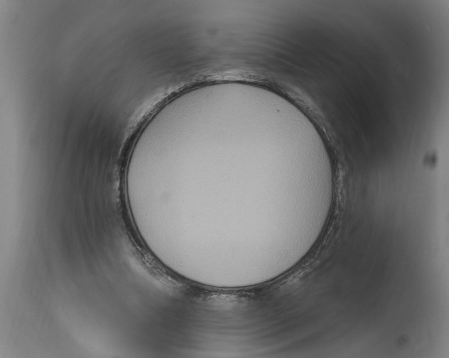 X0000114720298200911181411