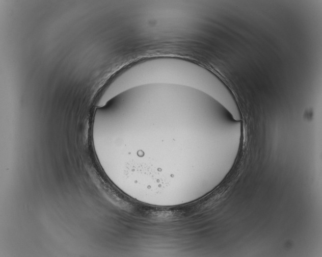 X0000114720301200911181411