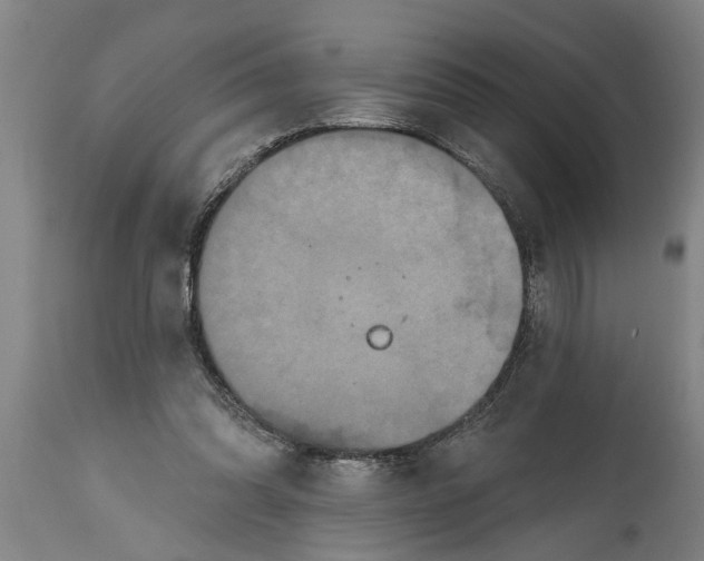 X0000114720302200911181411