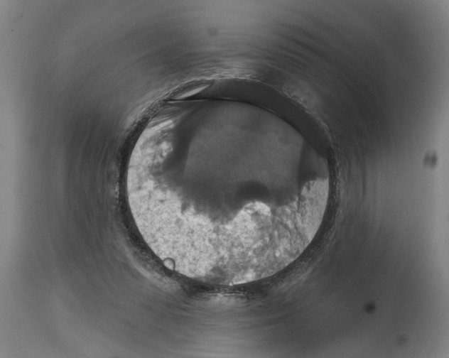 X0000114720303200911181411