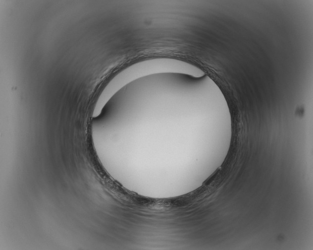 X0000114720308200911181410