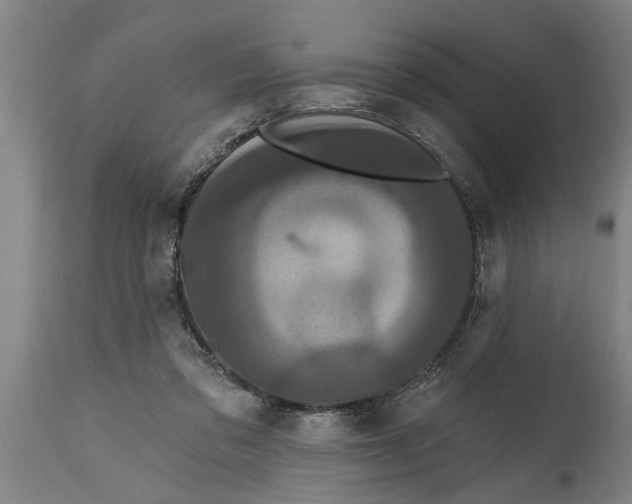 X0000114720309200911181410