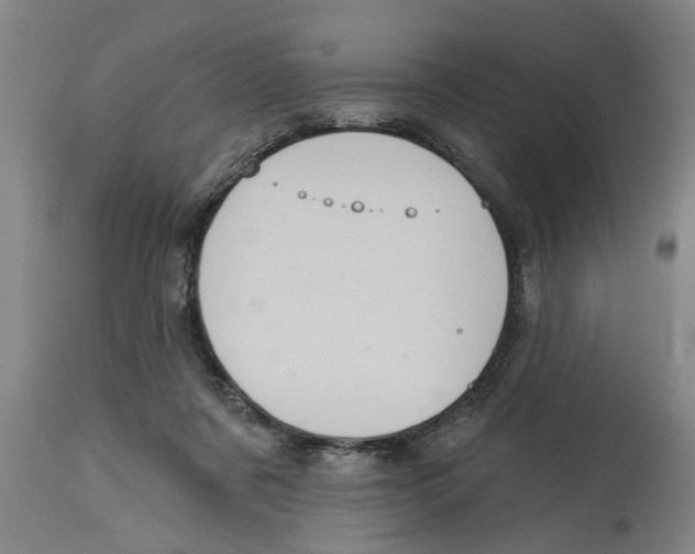 X0000114720311200911181410