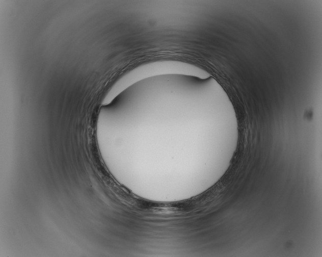 X0000114720316200911181410