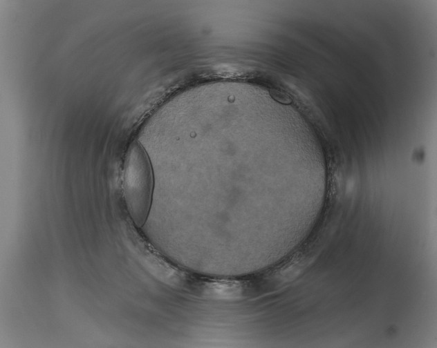 X0000114720317200911181410