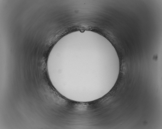 X0000114720318200911181410