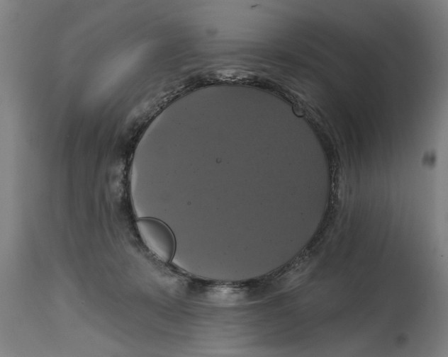 X0000114720319200911181410