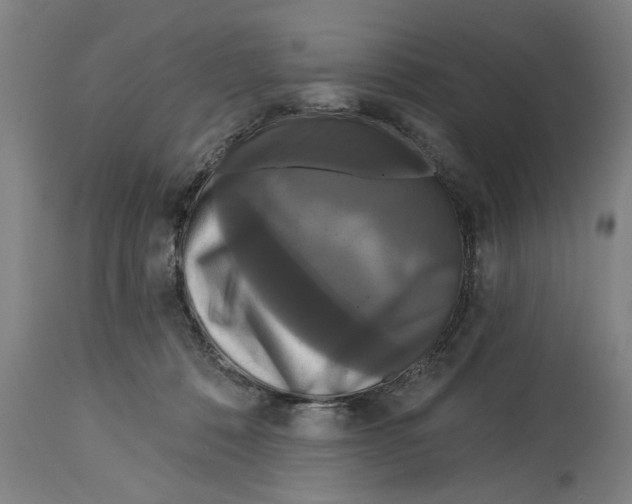 X0000114720320200911181410