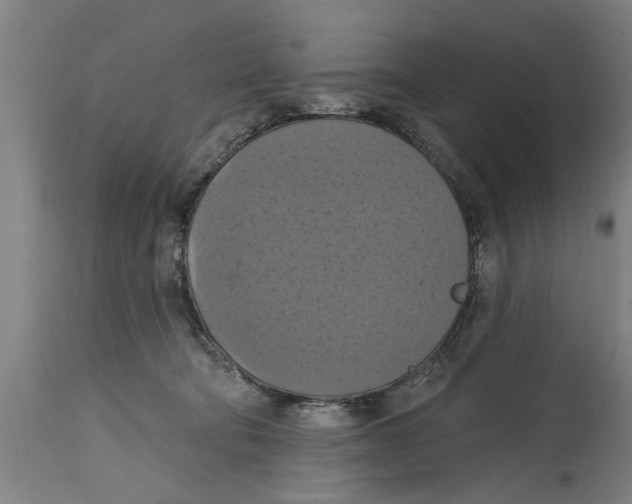 X0000114720322200911181410