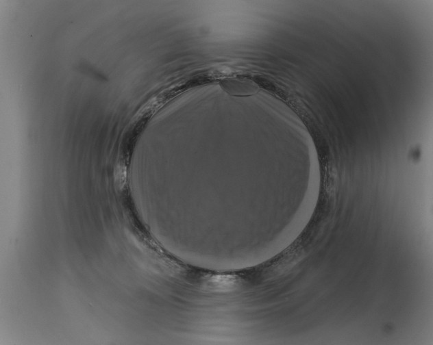 X0000114720324200911181410