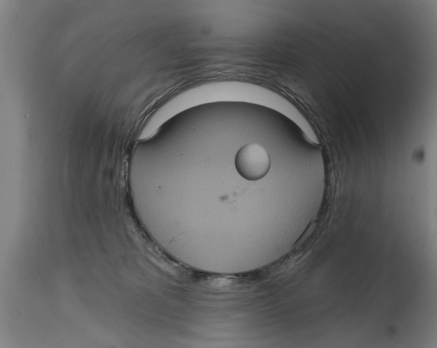 X0000114720325200911181410