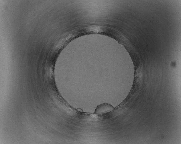 X0000114720330200911181410