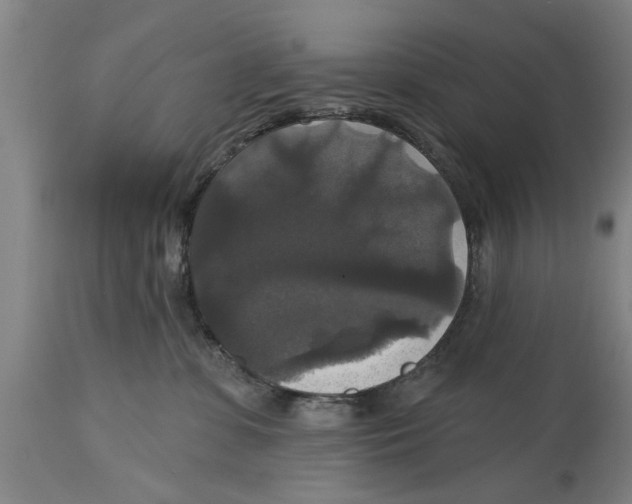 X0000114720331200911181410