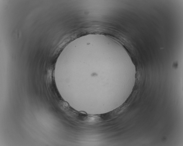 X0000114720333200911181410