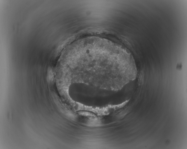 X0000114720335200911181410