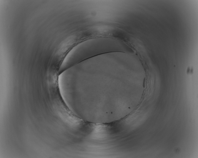 X0000114720336200911181410