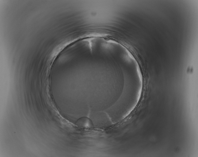 X0000114720337200911181409