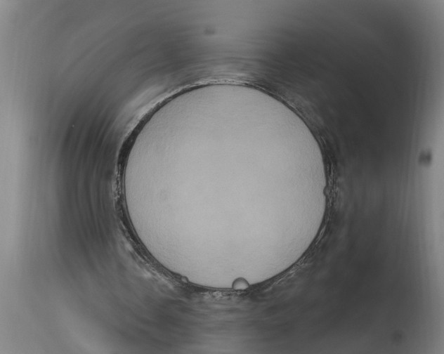 X0000114720338200911181409