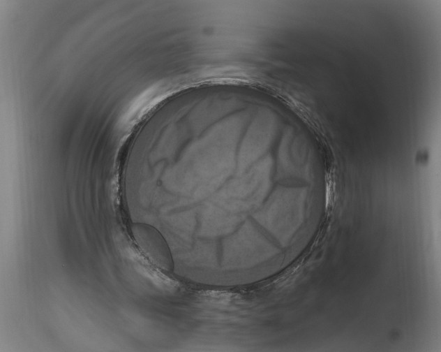 X0000114720339200911181409