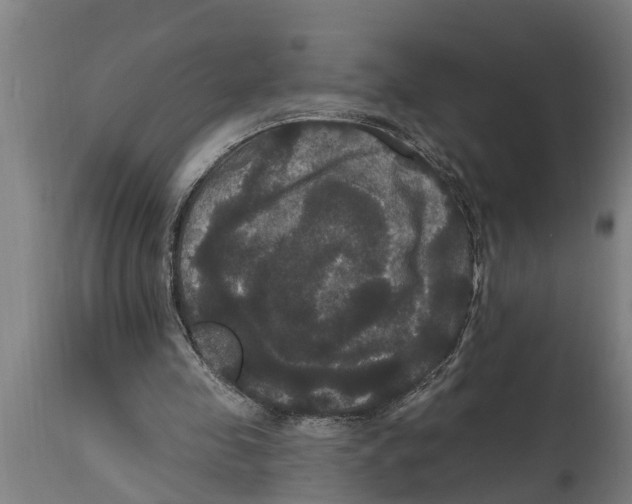 X0000114720341200911181409