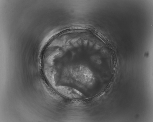 X0000114720343200911181409