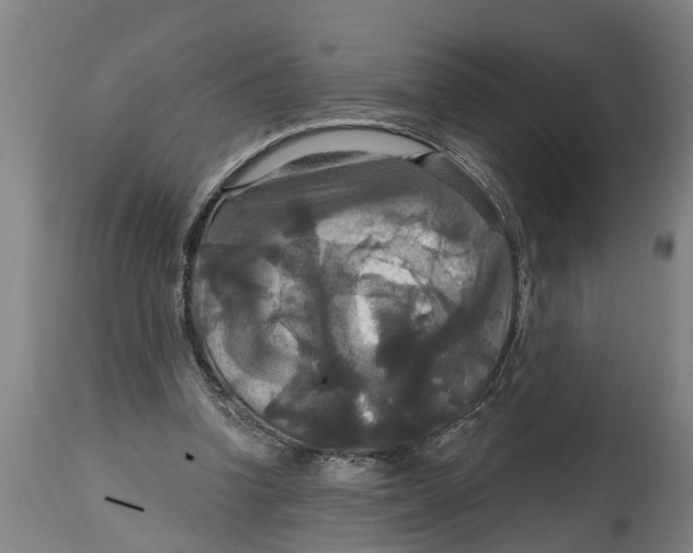 X0000114720346200911181410