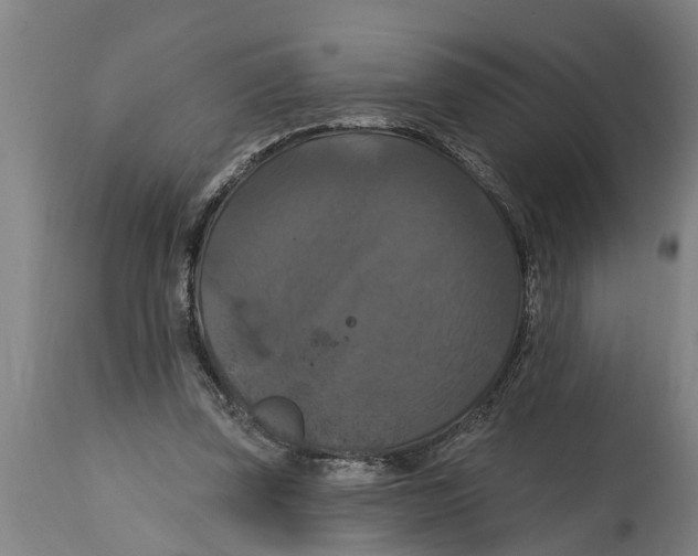 X0000114720347200911181410