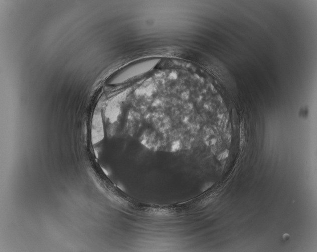 X0000114720349200911181410