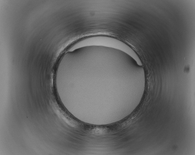 X0000114720350200911181410