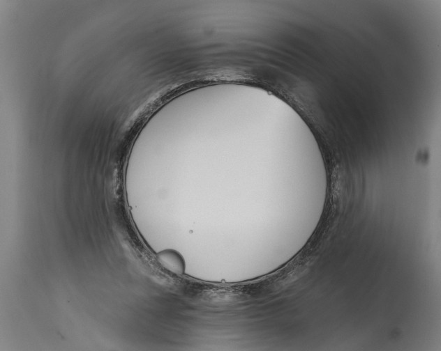 X0000114720351200911181410