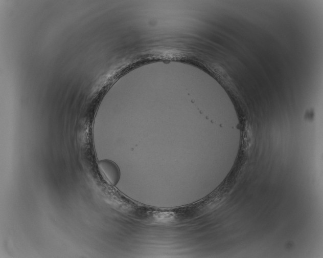 X0000114720355200911181410