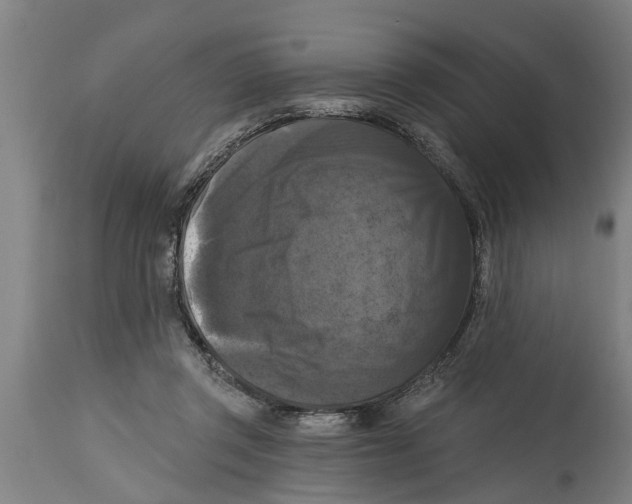 X0000114720357200911181410