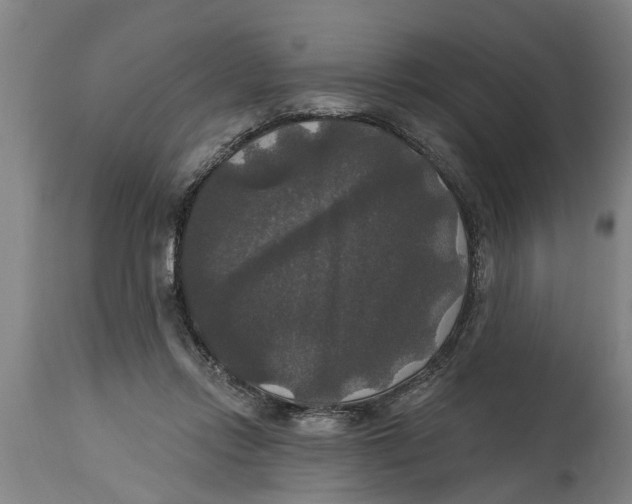 X0000114720358200911181410