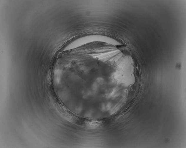 X0000114720359200911181410