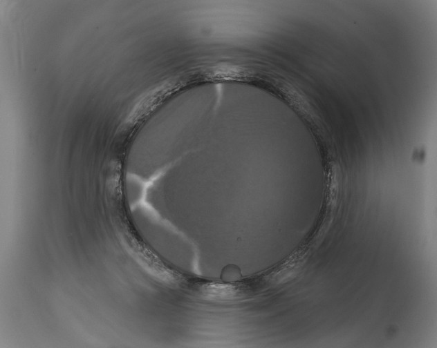 X0000114720361200911181410