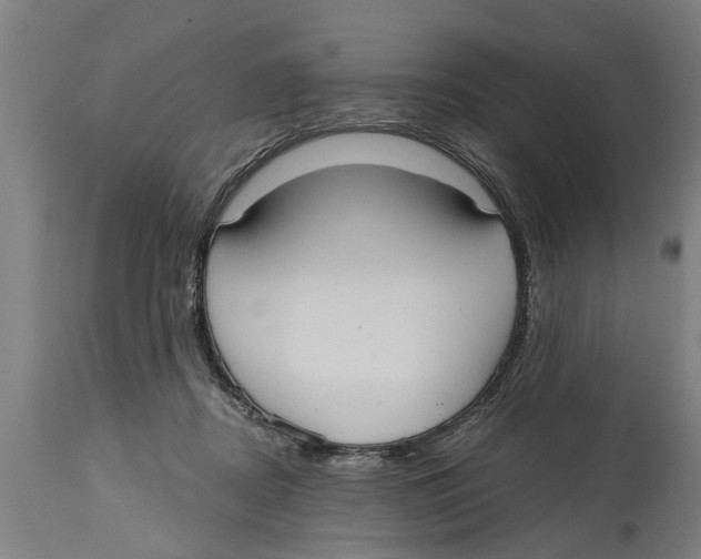 X0000114720362200911181410