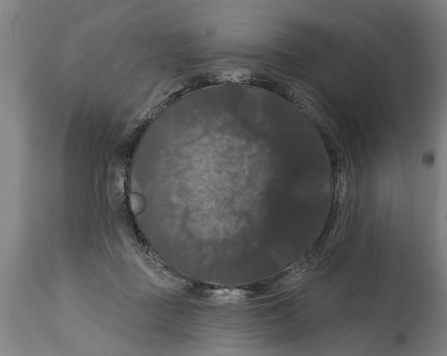 X0000114720363200911181410