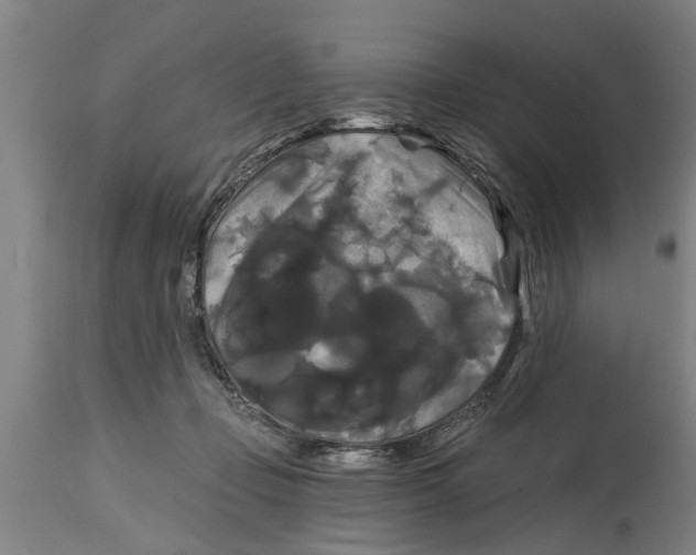 X0000114720365200911181410